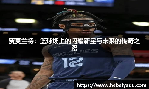 芒果体育app官网入口