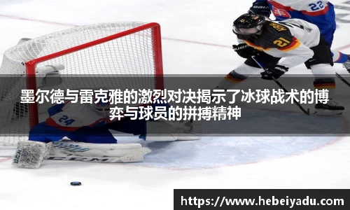 芒果体育app官网入口