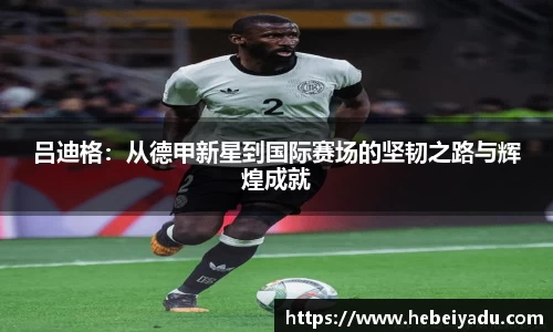 芒果体育
