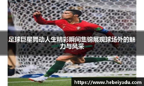 芒果体育app官网入口