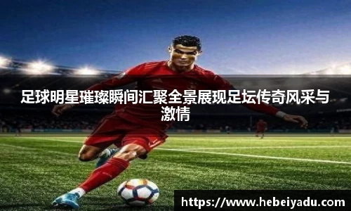 芒果体育app官网入口